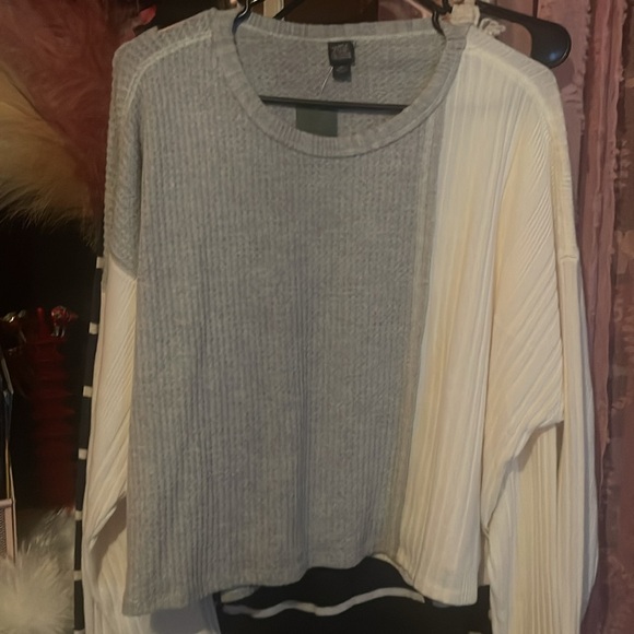 NWT Wild Fable Grey Cream Colorblock Boxy Long Sleeve Top - Picture 4 of 5